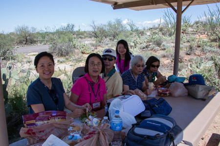 saguaro np east-50